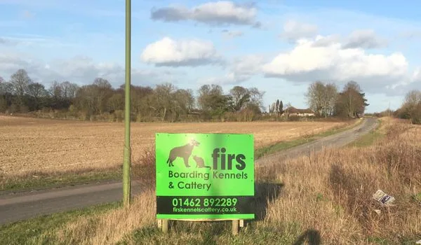 Firs Cattery - Baldock pet otel