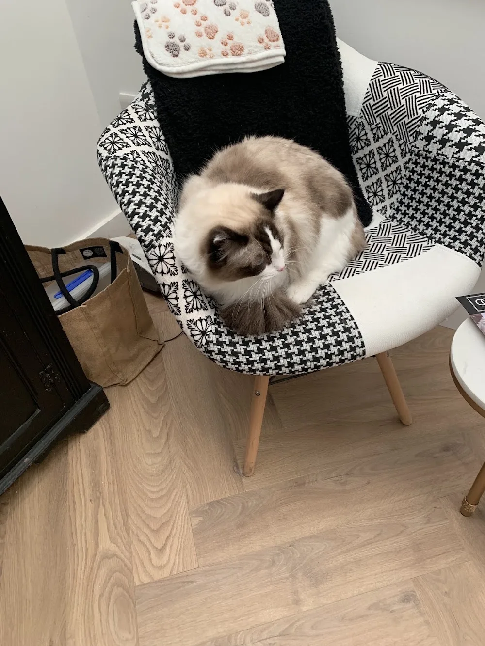 The Cat Care Company - Baldock pet otel