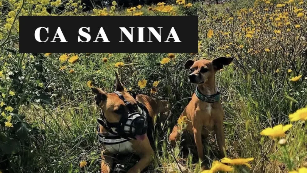 Ca Sa Nina LIBRES Y FELICES COMO EN CASA - Balearic Islands pet otel