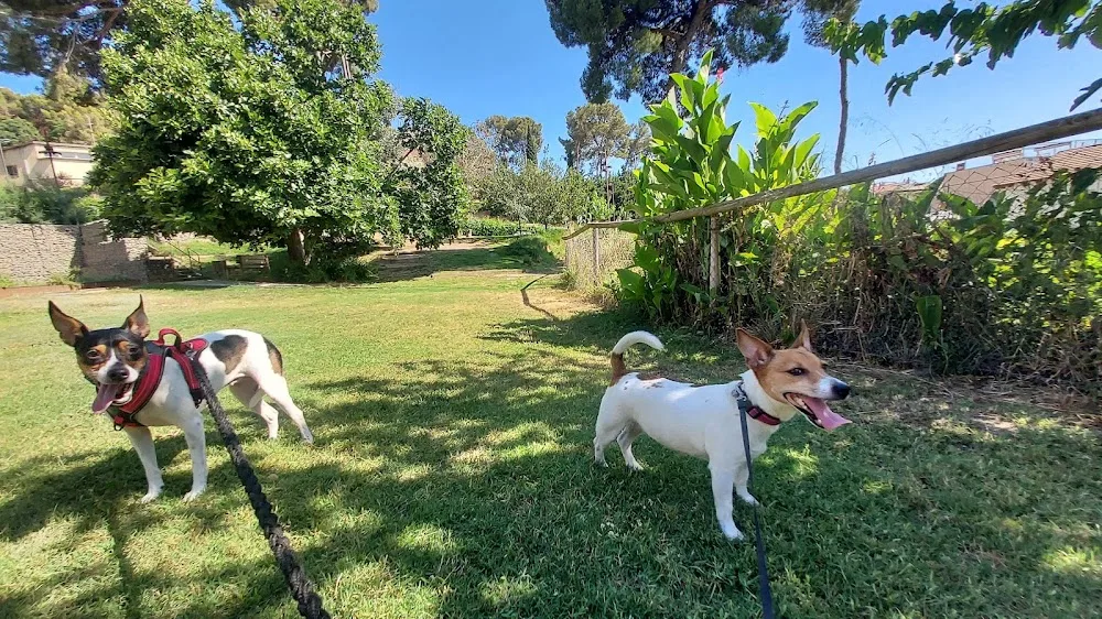 Can Ignasi - Residencia canina particular sin jaulas no masificada. Tu perro como en casa 🐶❤️ Cuidador perros Barcelona - Balearic Islands pet otel görseli 3
