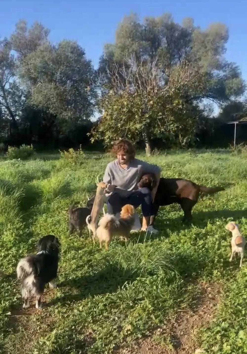 Como en Casa 🐕 Hostel | Guardería Canina - Balearic Islands pet otel görseli 3