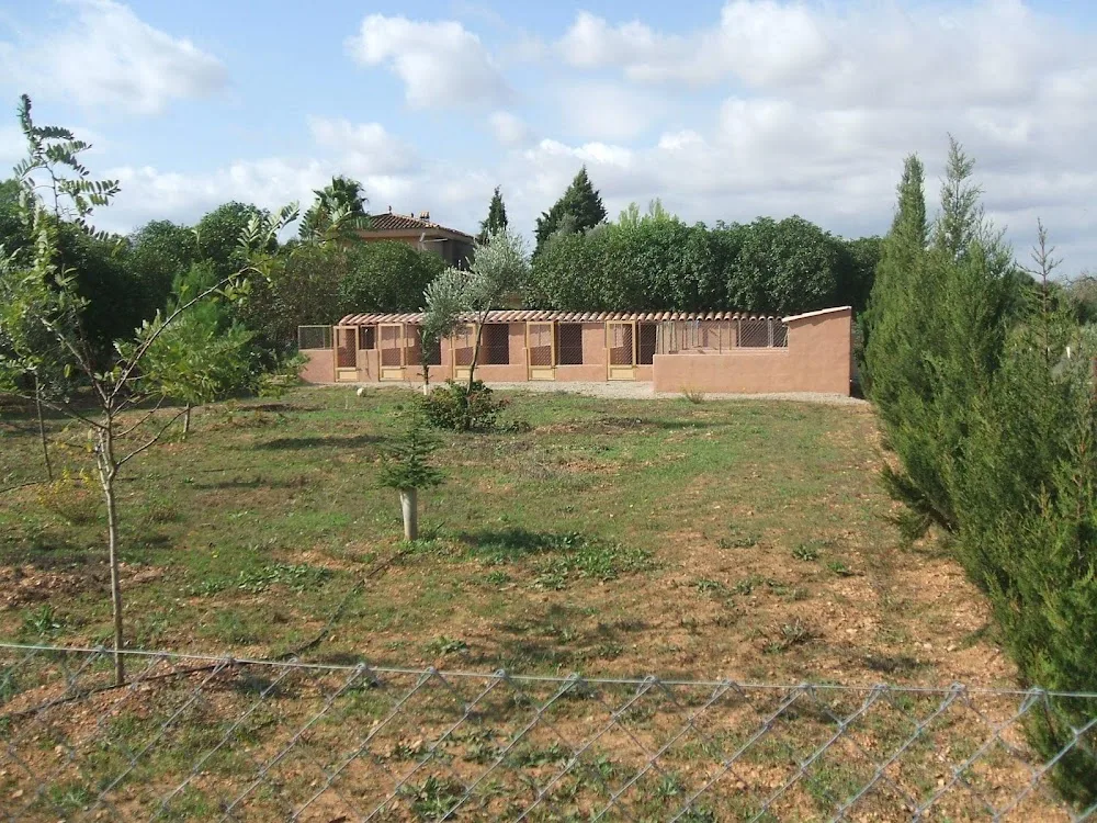 Domus Cani - Balearic Islands pet otel görseli 3