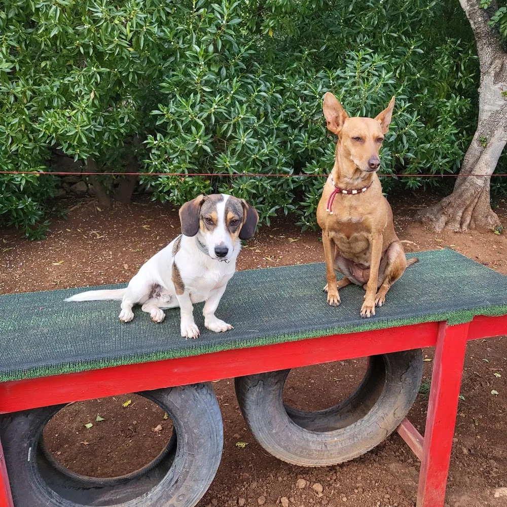 Hundepension "Gabis Hundewiese" - Balearic Islands pet otel görseli 3