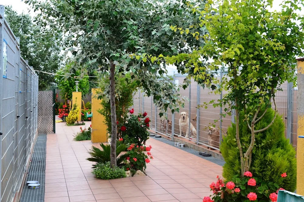 Residència Canina Can Fauna - Balearic Islands pet otel görseli 3