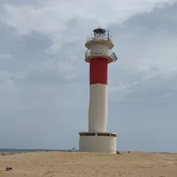 Residència Canina Can Fauna - Balearic Islands pet otel görseli 5