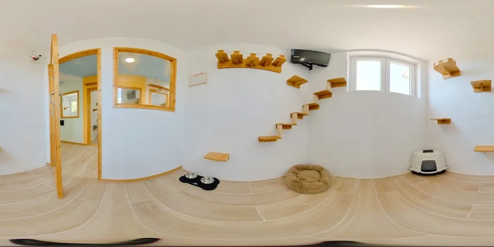 Residencia Canina y Felina Tres Llunes - Barcelona - Balearic Islands pet otel görseli 3