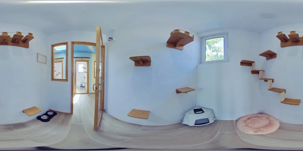Residencia Canina y Felina Tres Llunes - Barcelona - Balearic Islands pet otel görseli 4
