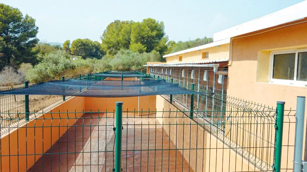 Residencia Canina y Felina Tres Llunes - Barcelona - Balearic Islands pet otel görseli 5