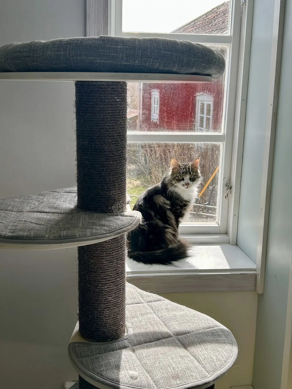 Lilla kattstugan - Bandhagen pet otel