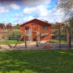 Ballyorban Boarding Kennels - Bandon pet otel