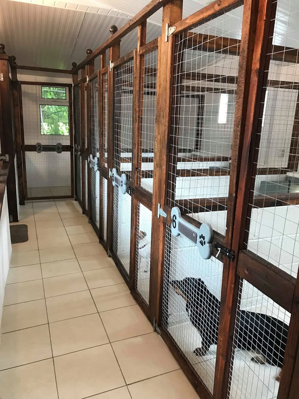 Belrose Boarding Kennels & Cattery - Bandon pet otel görseli 7