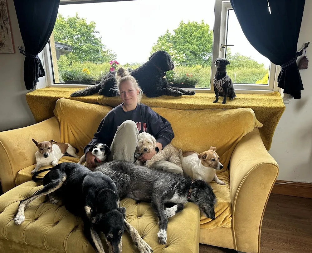 DogVille Dog Boarding and Grooming Studio - Bandon pet otel görseli 2