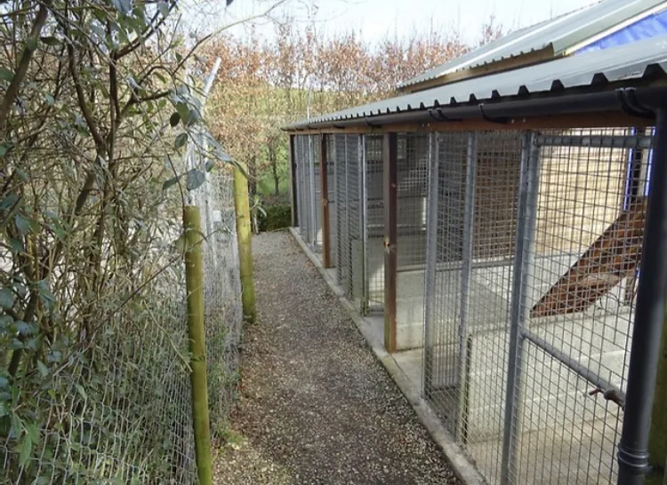 Kilmacsimon Boarding Kennels - Bandon pet otel
