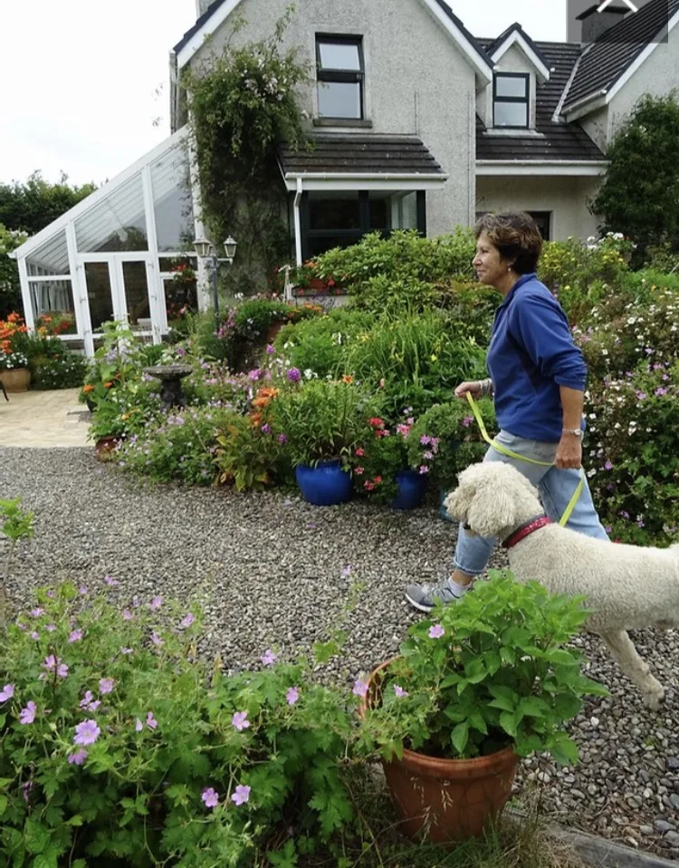 Kilmacsimon Boarding Kennels - Bandon pet otel görseli 3