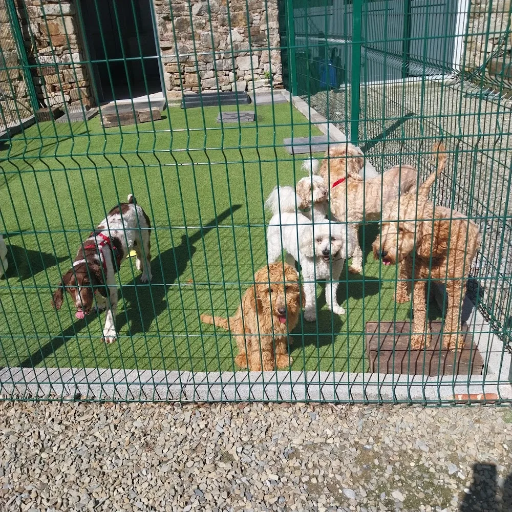 Old Mill Kennels - Bandon pet otel görseli 7