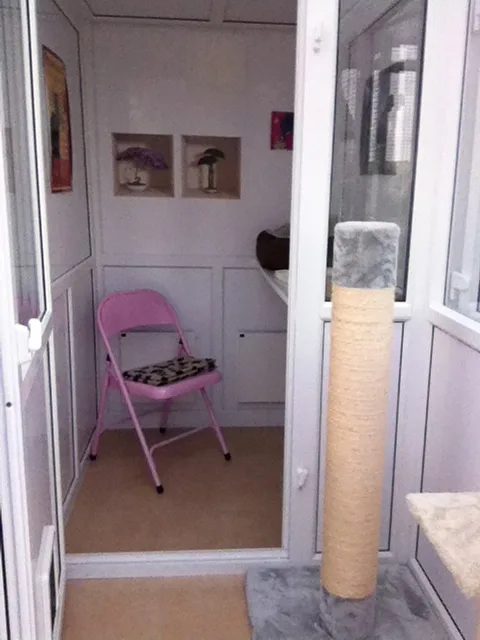 Truffle Lodge Kitty Care, Kinsale - Bandon pet otel görseli 3