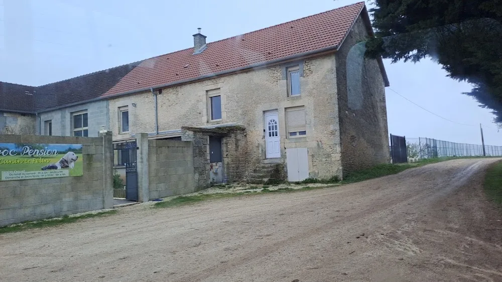 Croc Pension - Bannes pet otel görseli 3