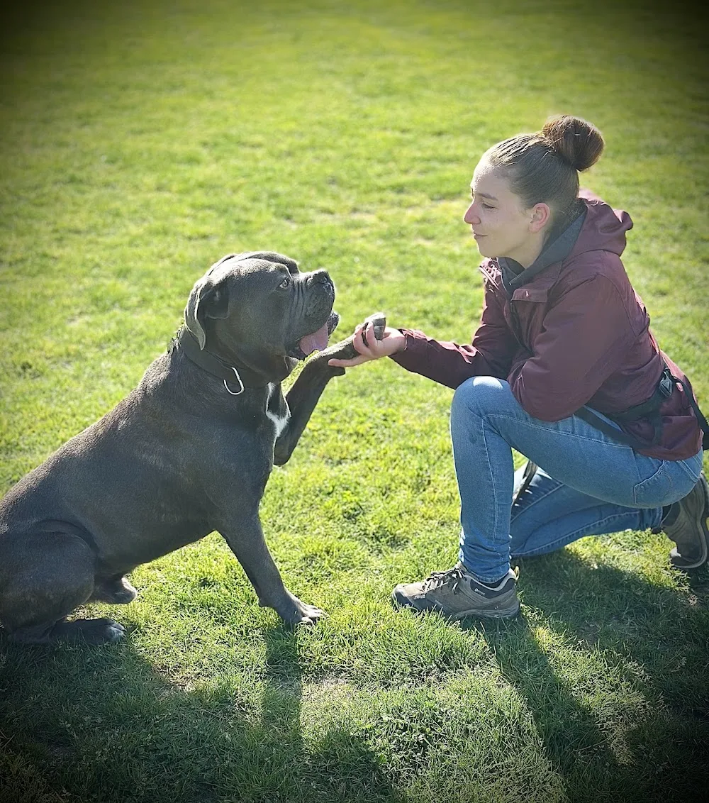 Doggy's Cool - Education canine, Pension et Pet sitting - Bannes pet otel