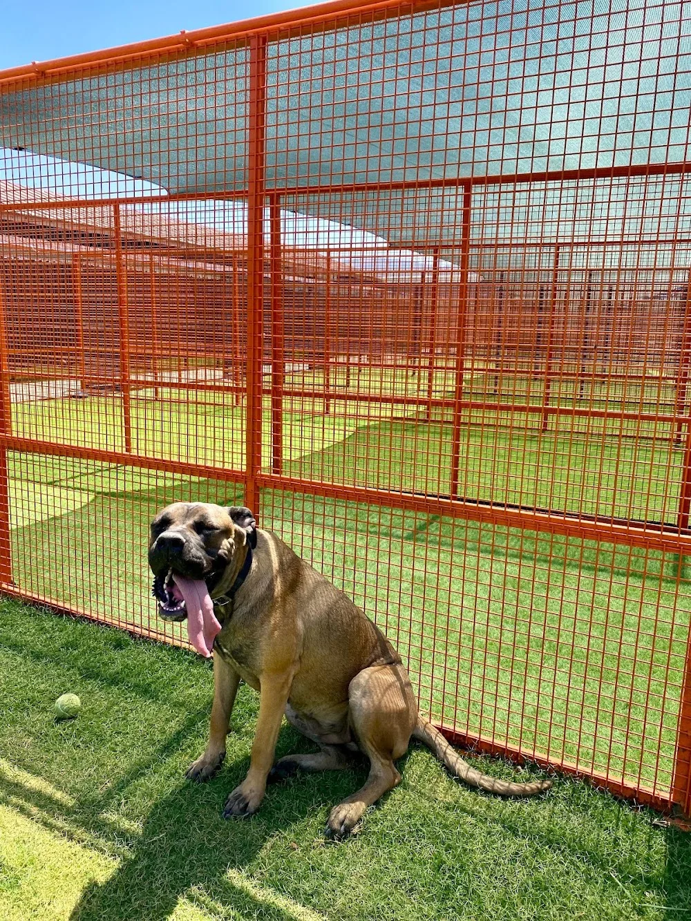 Baraka Dog Resort - Izmir pet otel