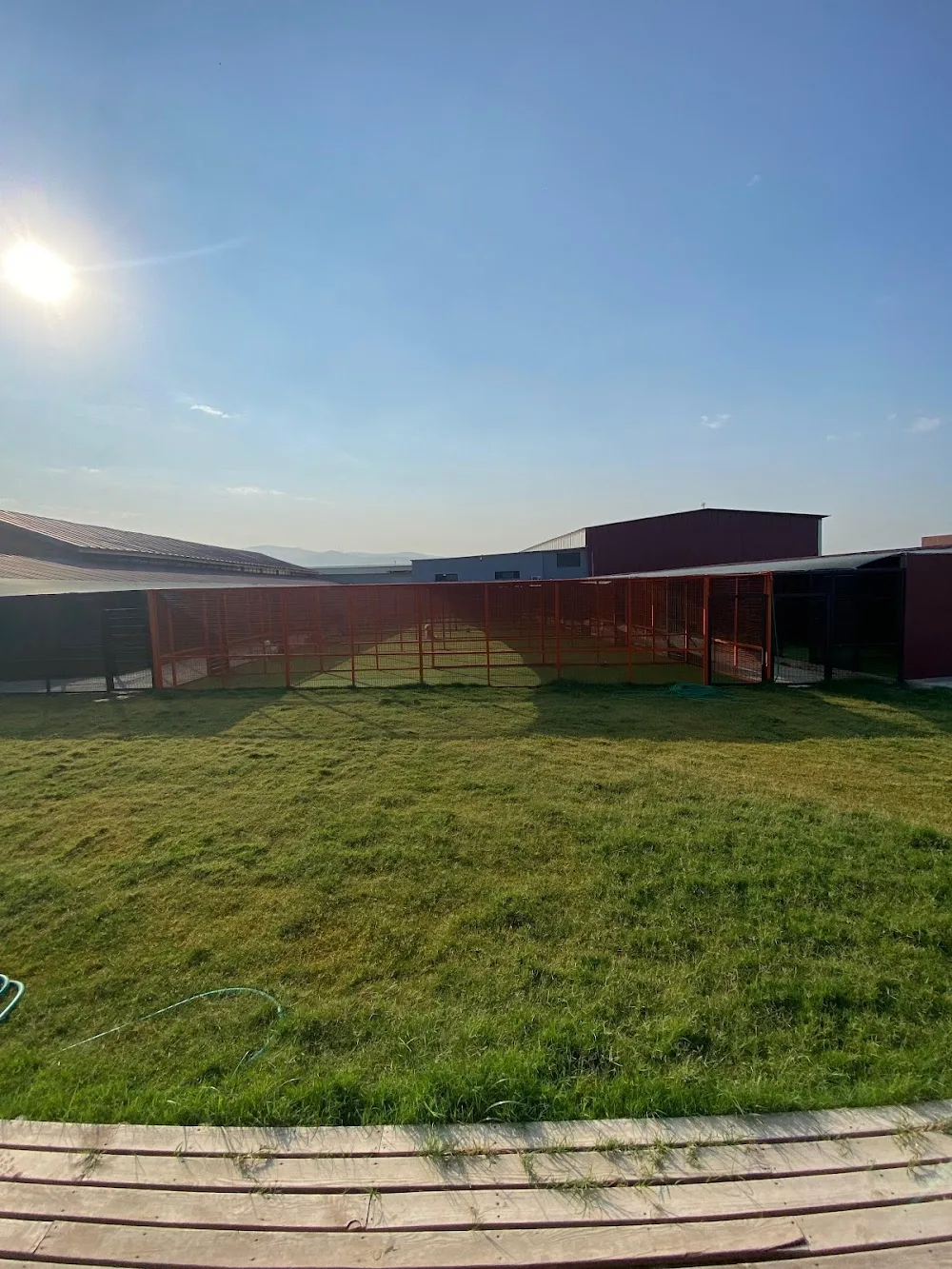 Baraka Dog Resort - Izmir pet otel görseli 7