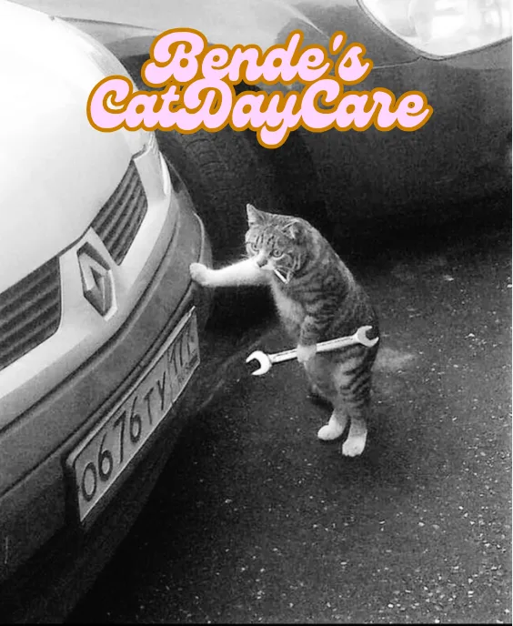 Bende's Cat Day Care - Baranya pet otel