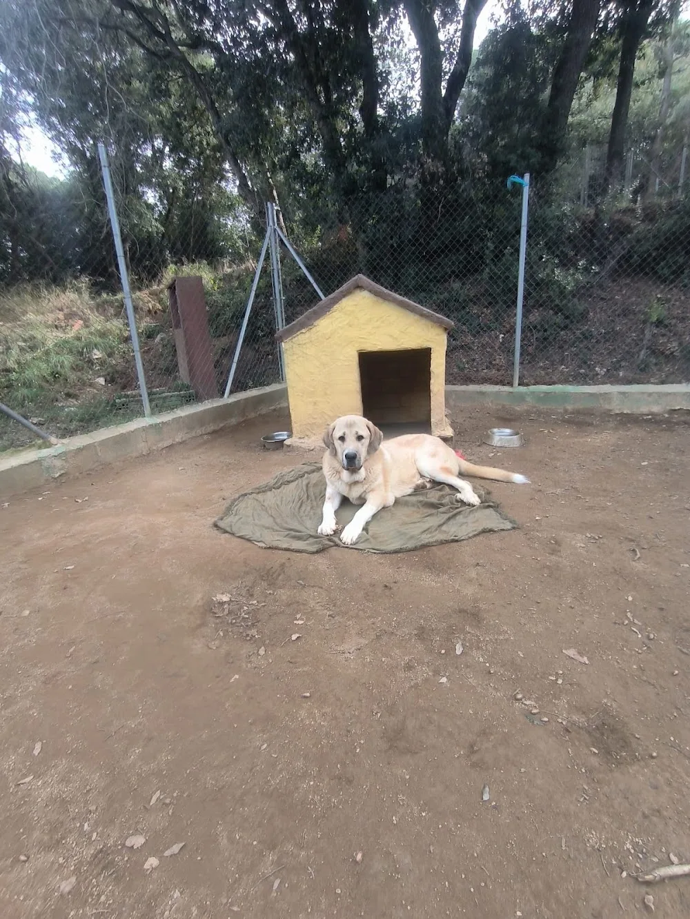 La Masia / Centro canino La Masia - Barcelona pet otel