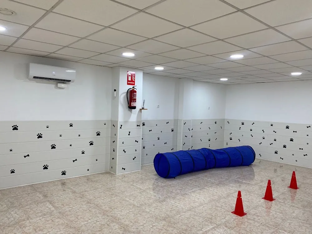 Llar Canina - Barcelona pet otel