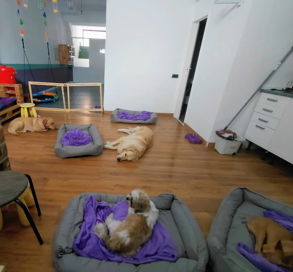 Oh My Gos Guarderia Canina - Barcelona pet otel