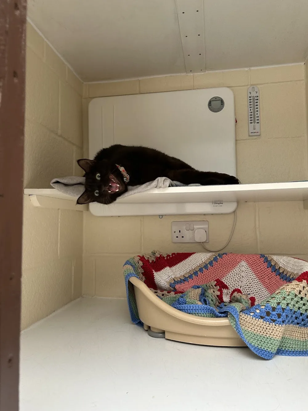 Purr Inn - Barking and Dagenham pet otel