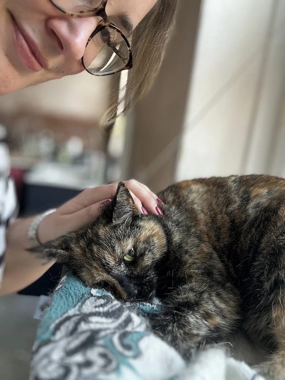 The Cat Butler Hornchurch - Cat Sitting Service, Cattery Alternative - Barking and Dagenham pet otel