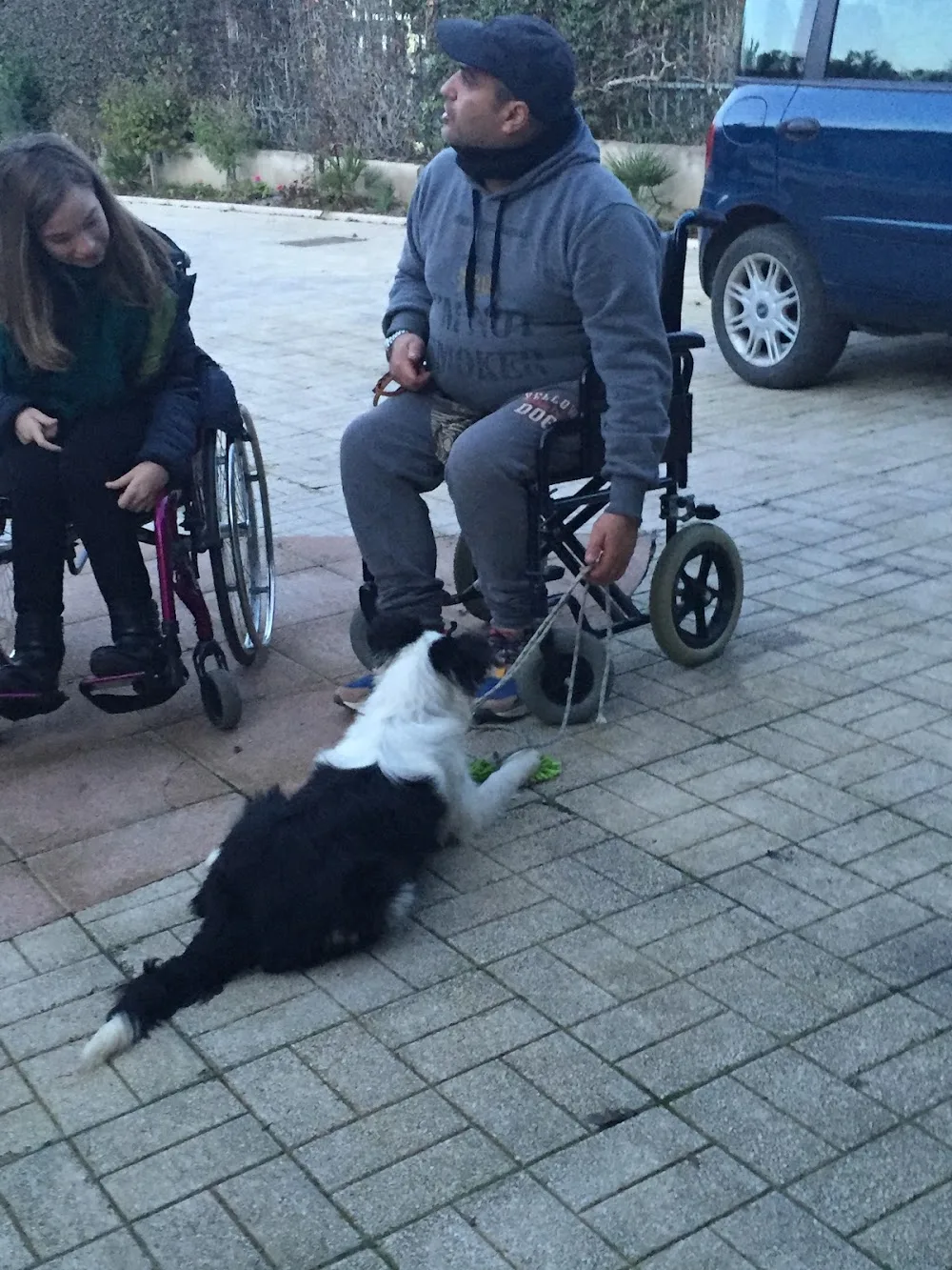 Centro Cinofilo e Pensione per Cani Barletta A.P.S.S.D. Impariamo ad Imparare "solo per soci" - Barletta-Andria-Trani pet otel görseli 3