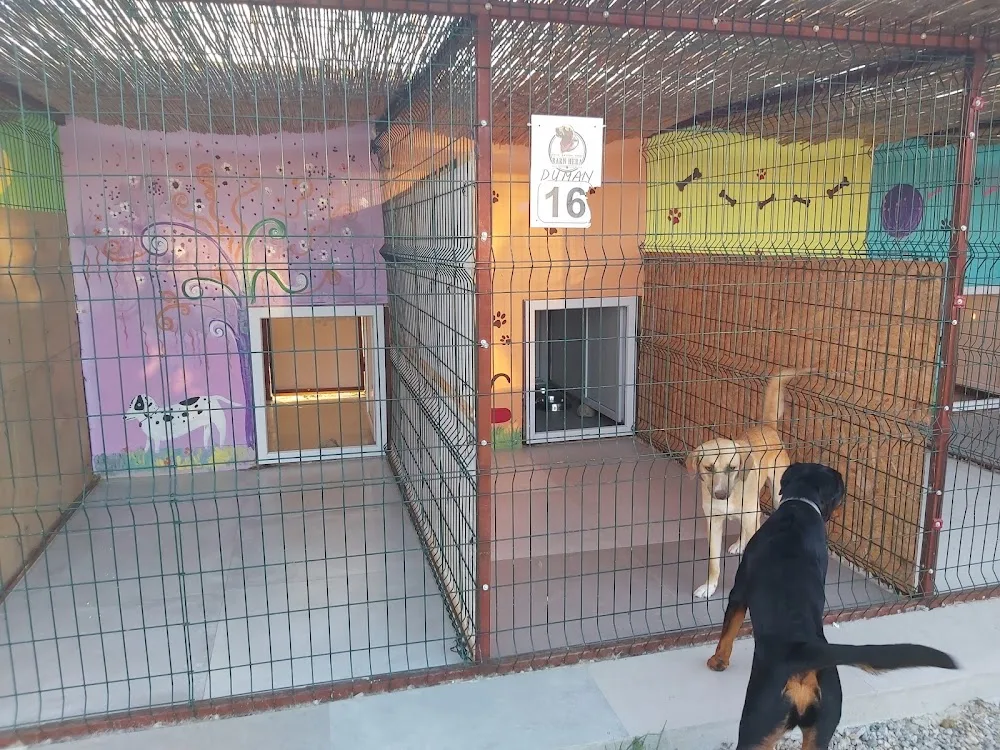 Barn Hera Pet Hotel - Izmir pet otel görseli 10