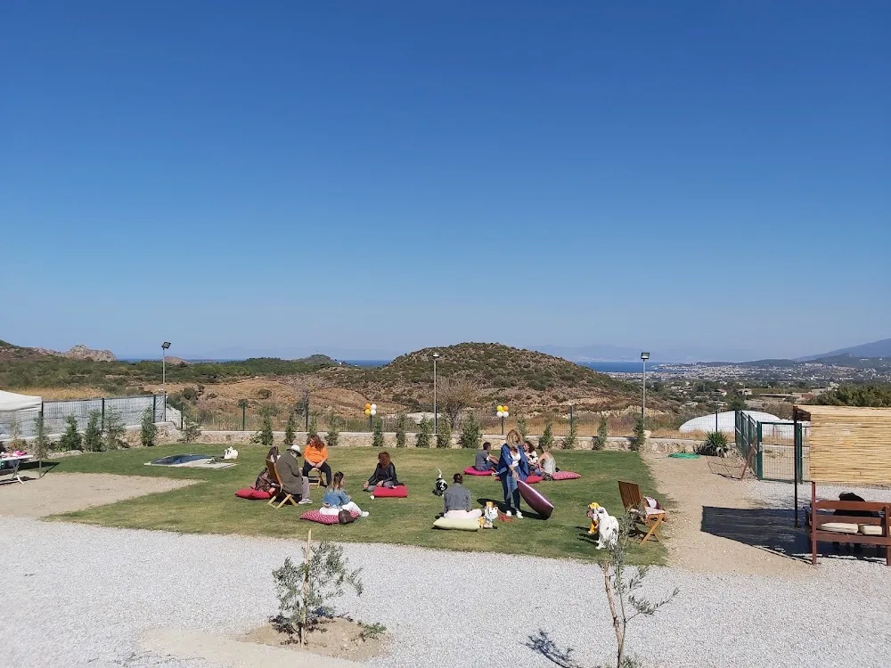 Barn Hera Pet Hotel - Izmir pet otel görseli 11