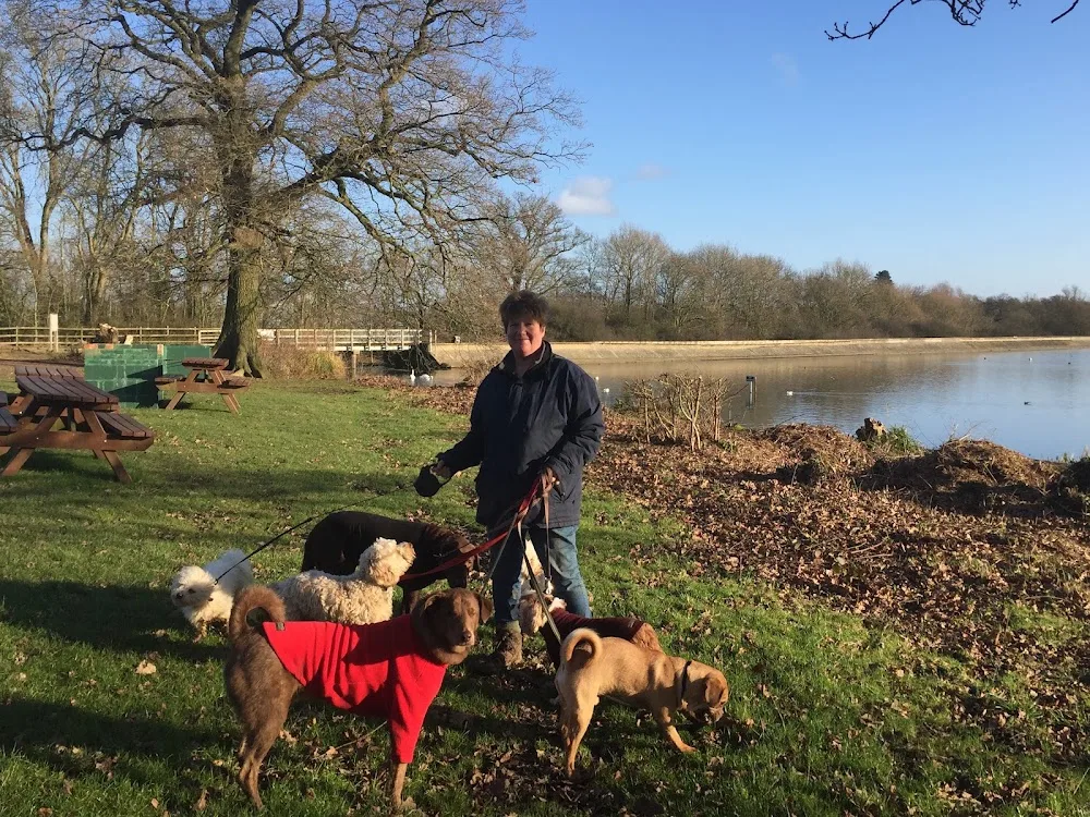 HappiDogs Dog Boarding & Daycare - Barnet pet otel görseli 3