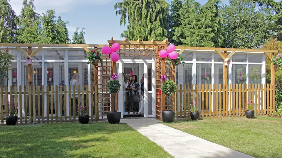 Longcroft Luxury Cat Hotel East Barnet - Barnet pet otel