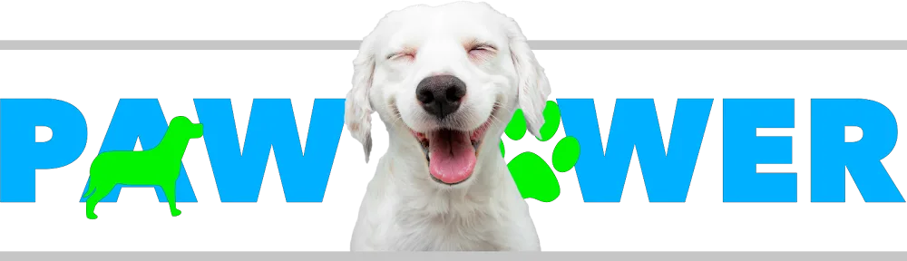 Paw Power Home Dog Boarding - Barnsley pet otel