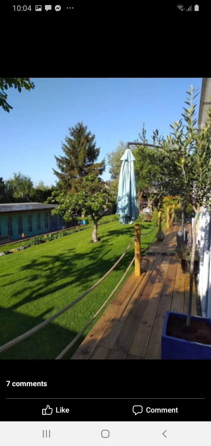 Top Cats Cattery Hemingfield - Barnsley pet otel