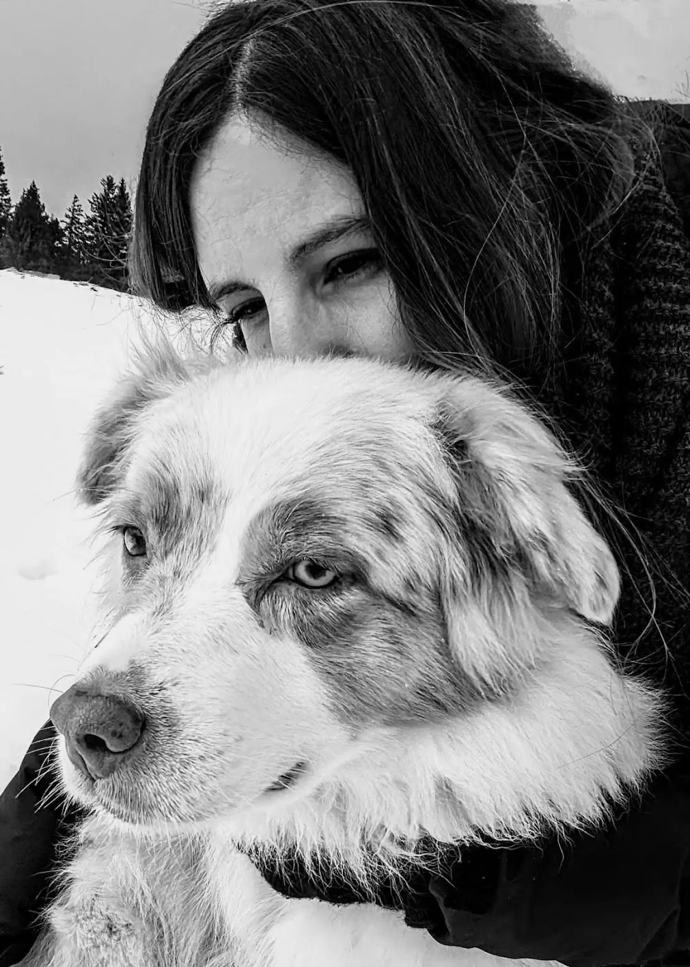 Éducateur Canin Relax dog - Garde d'animaux - Bas-Rhin pet otel