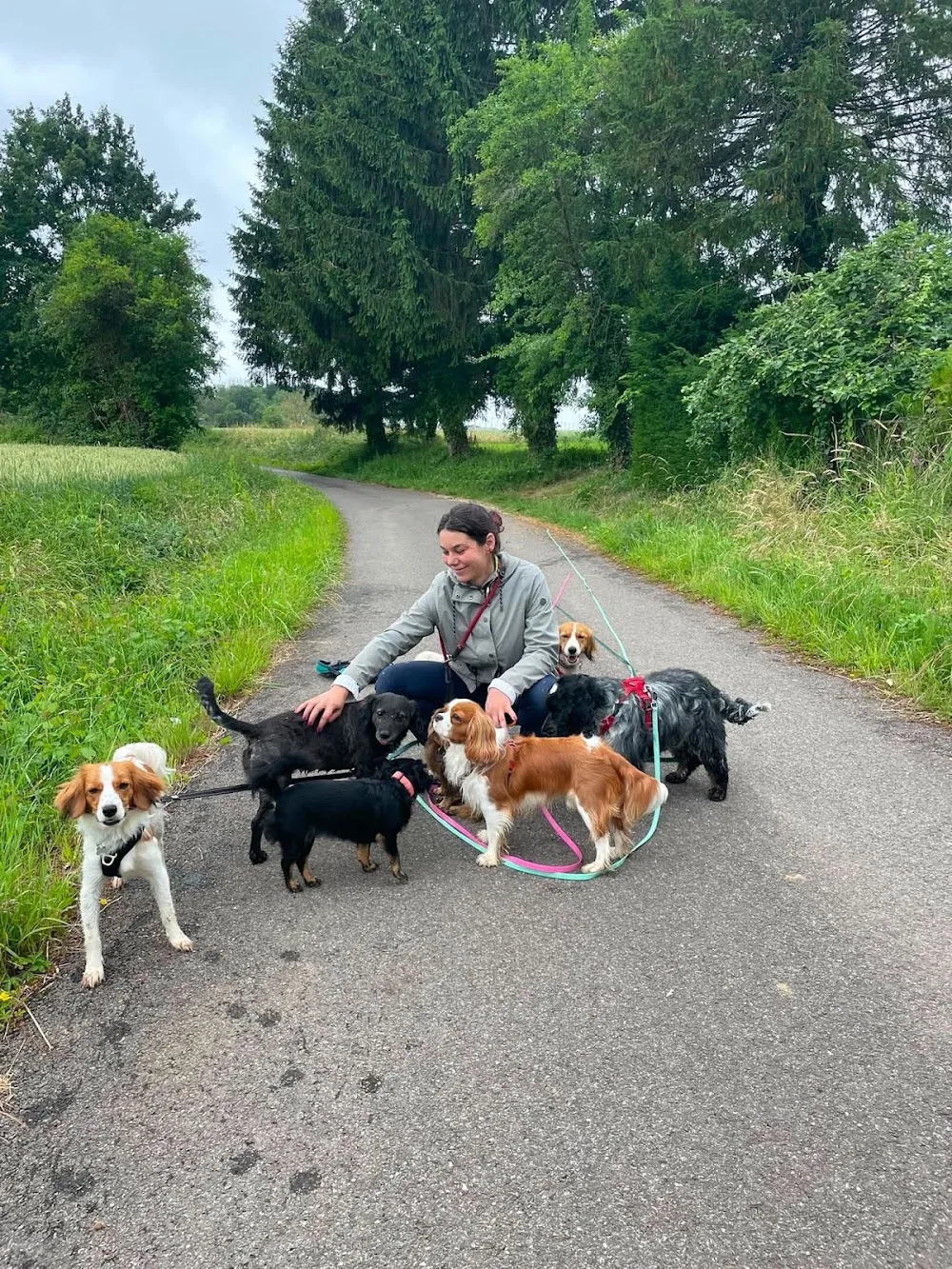 JINTONIC, pension animale - Bas-Rhin pet otel görseli 3