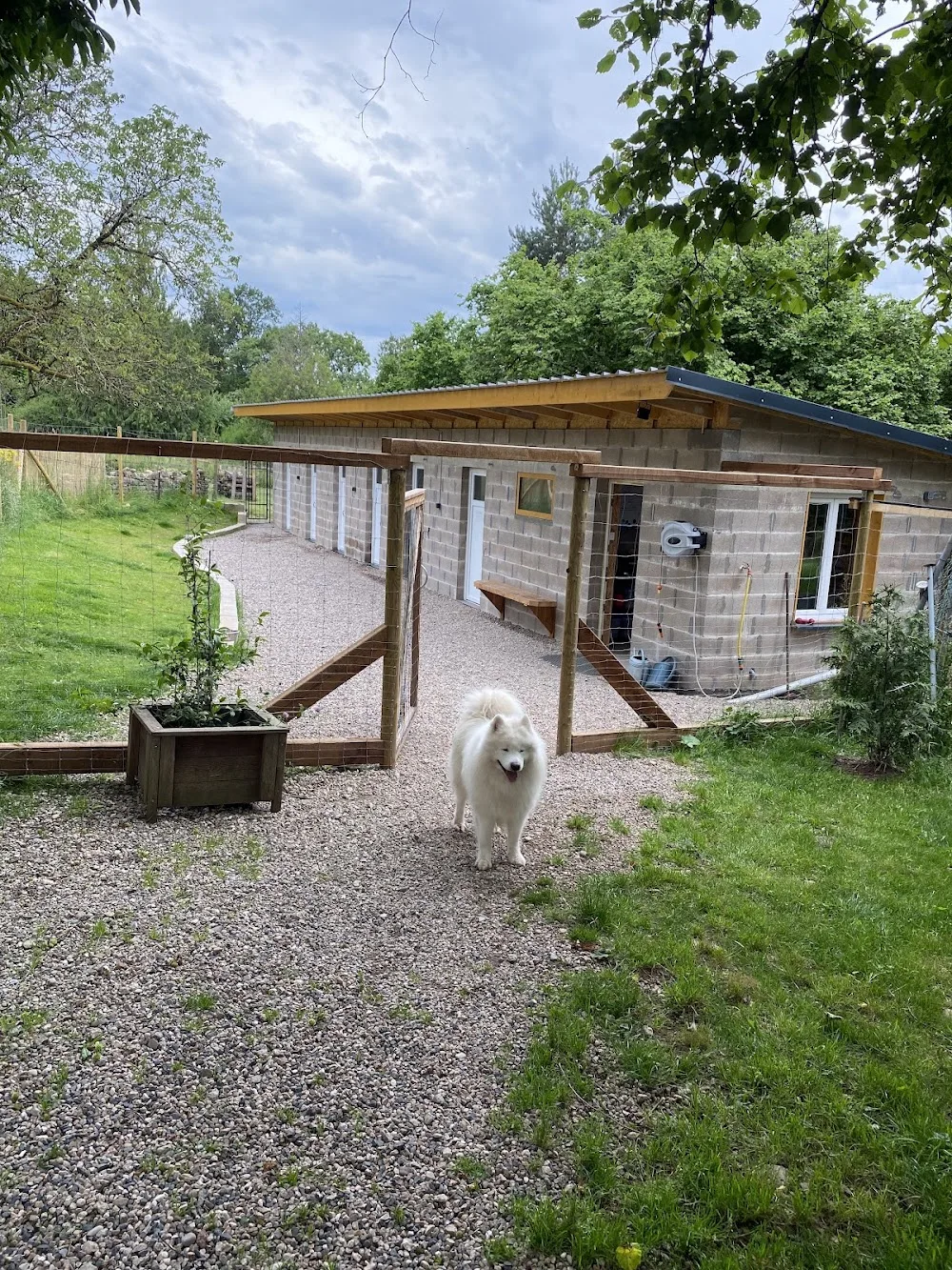 Pension canine et féline Pas à Pattes - Bas-Rhin pet otel görseli 2
