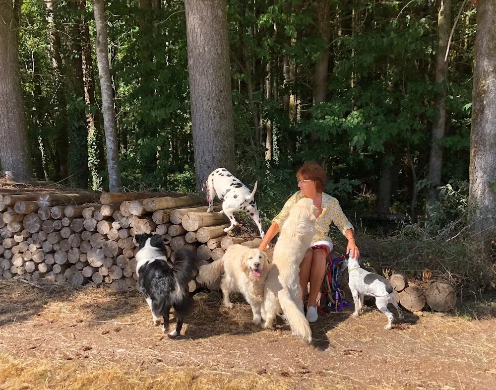 Pension canine familiale Vosges - Bas-Rhin pet otel görseli 3
