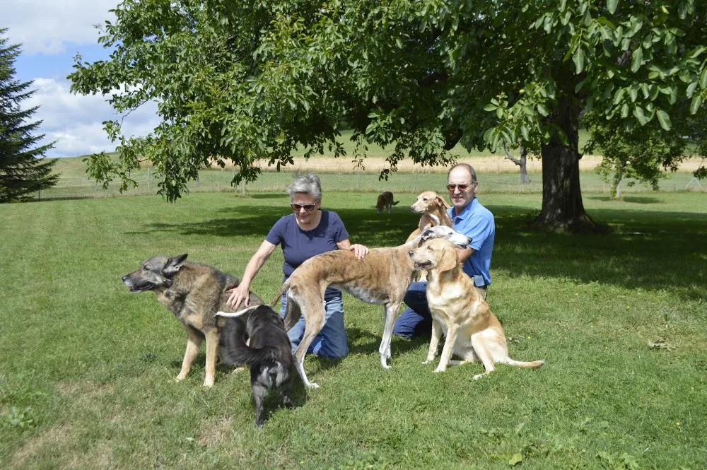 Ferienhündin - Ferien für ihren Hund - Basel-Land pet otel görseli 3
