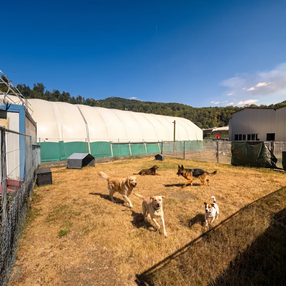 Happy Paws Swiss GmbH - Basel-Land pet otel