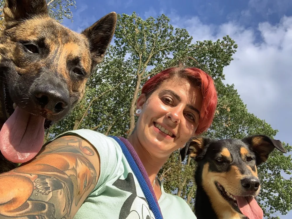 Hundebetreuung Tanja - Basel-Land pet otel