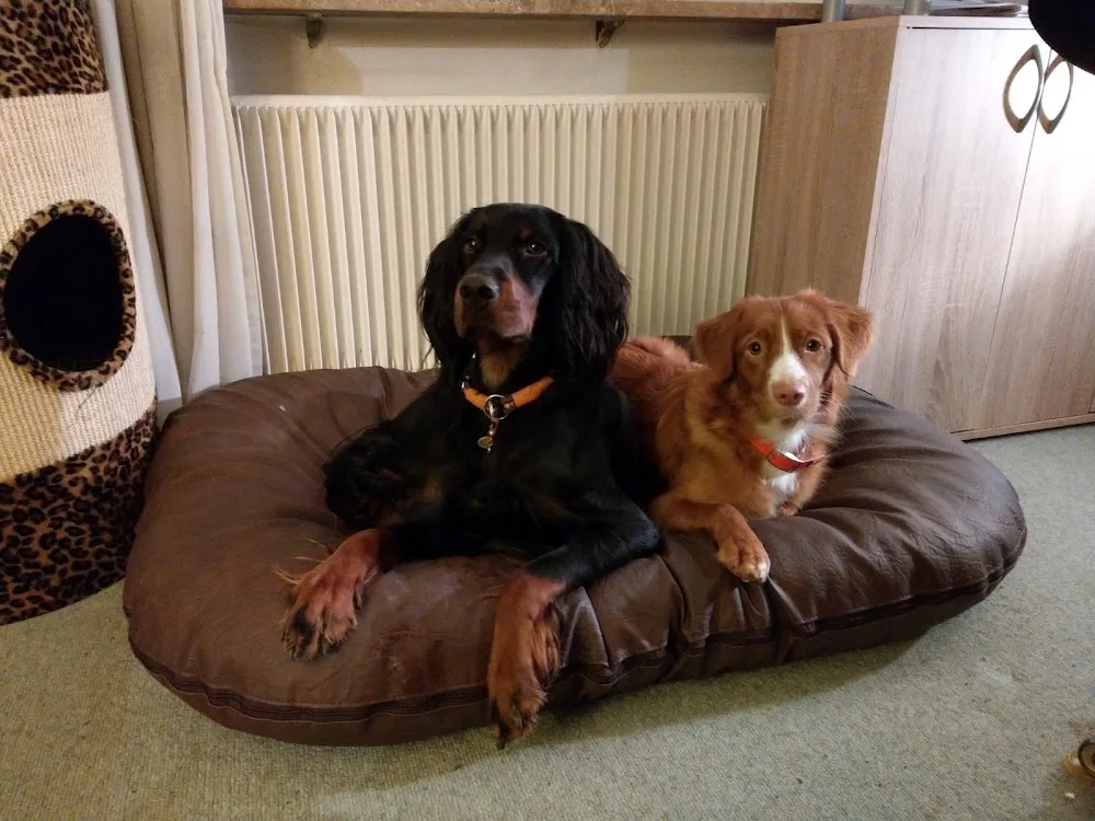 Hundepark Nenzlingen - Basel-Land pet otel
