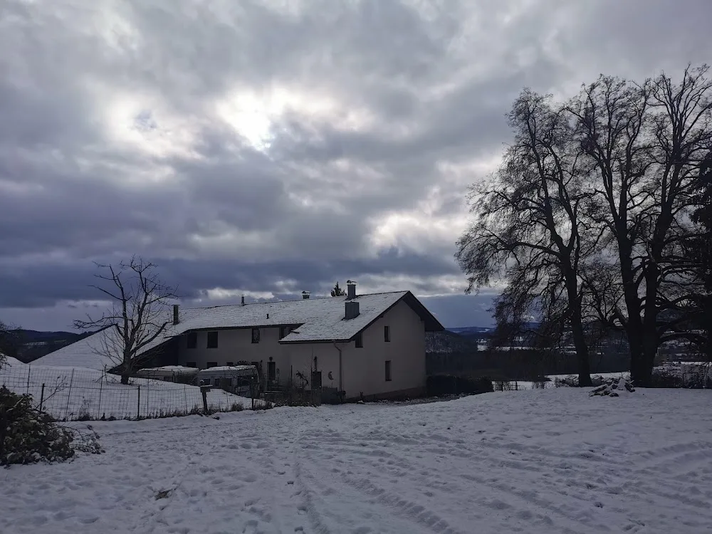 Hundepension Zaubermöndli - Basel-Land pet otel