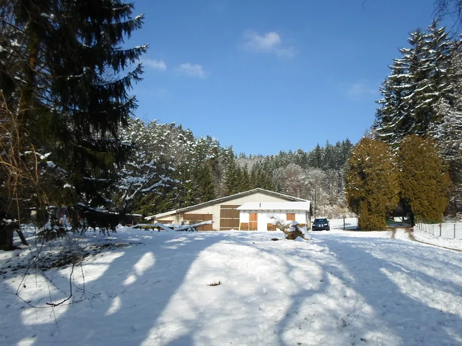 Hundepension Zaubermöndli - Basel-Land pet otel görseli 3