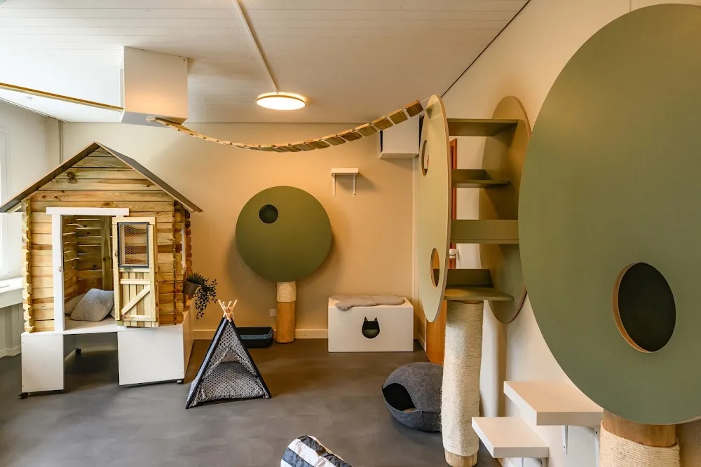 VetTrust Katzenhotel Oensingen - Basel-Land pet otel görseli 2