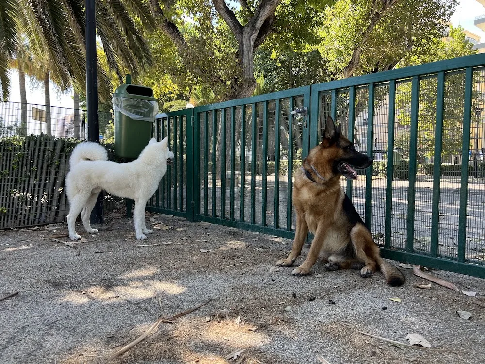 Molto più che Dog Sitter - Basilicata pet otel