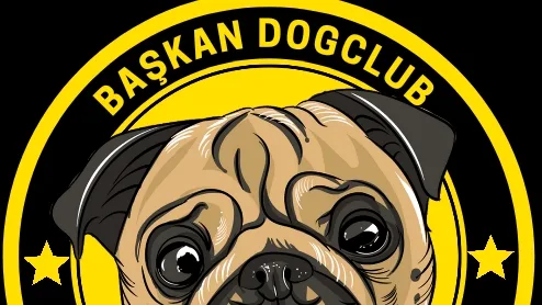 Başkan DogClub - Gebze Köpek Eğitimi & Köpek Oteli - Kocaeli pet otel